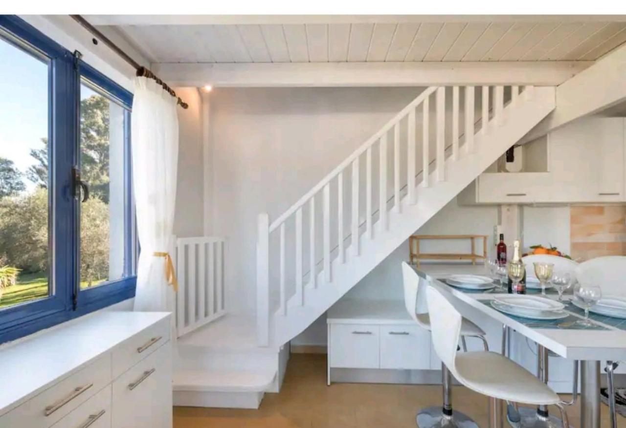 Govino Bay Luxury Beach Loft Apartment Danilia Zewnętrze zdjęcie